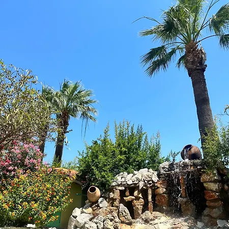 Bahaus فندق 4*
