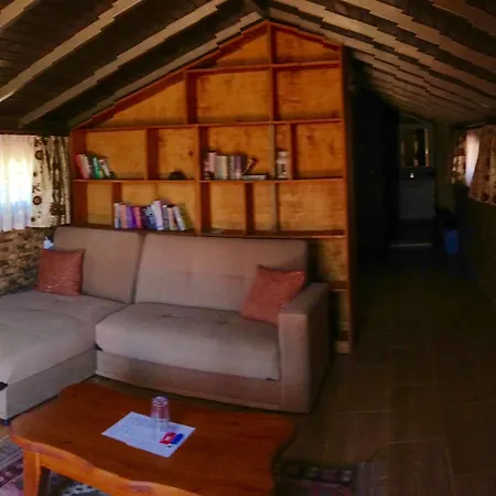 Bahaus 4* דליאן