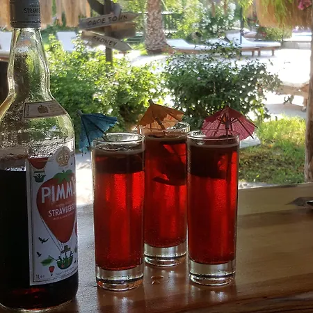 Ξενοδοχείο Bahaus Dalyan