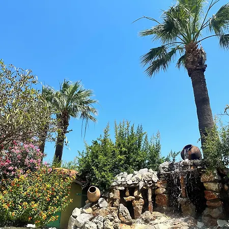 Bahaus 4* דליאן