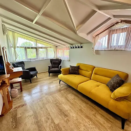 Bahaus 5*