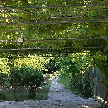 فندق Bahaus داليان