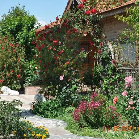 فندق Bahaus 4*