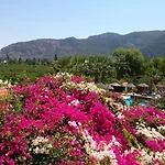 Bahaus Dalyan