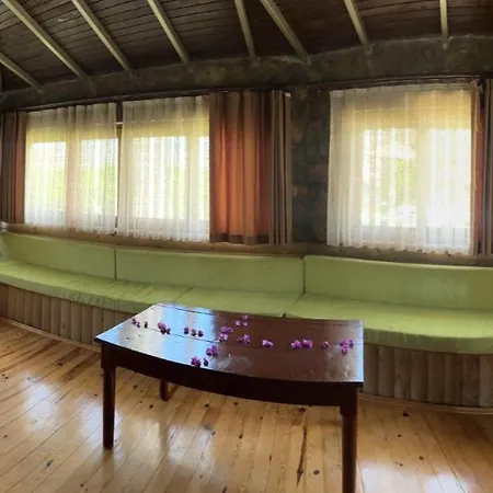 Bahaus