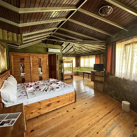 Bahaus 5*