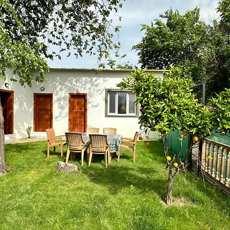 Szálloda Bahaus Dalyan