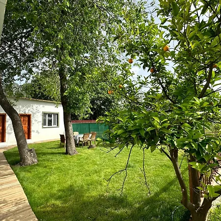 Bahaus
