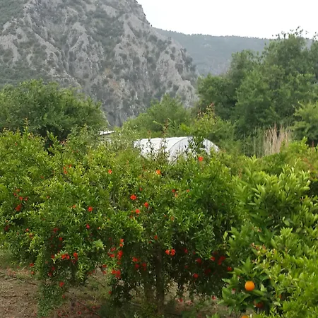 Bahaus Dalyan