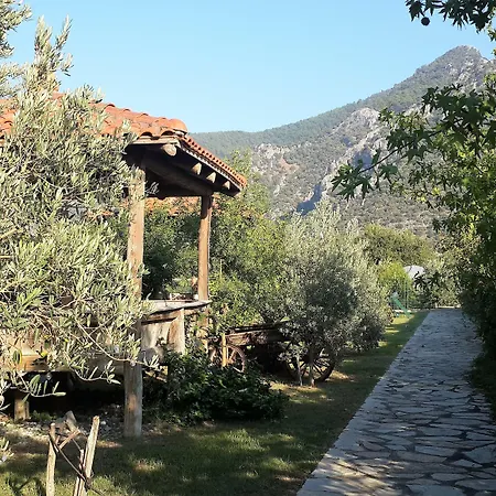 Bahaus Dalyan