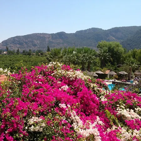 Bahaus Dalyan