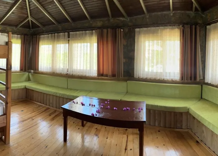 Bahaus