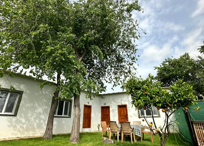 Hotel Bahaus