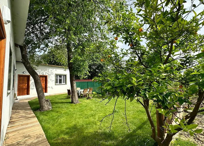 Bahaus