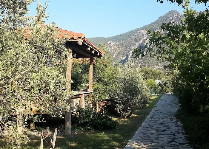 Bahaus Dalyan