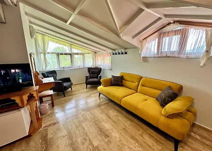 Bahaus 5*