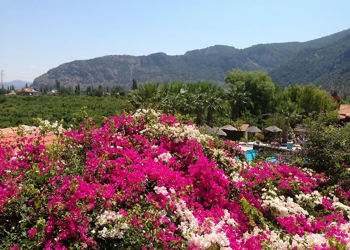 Bahaus Dalyan